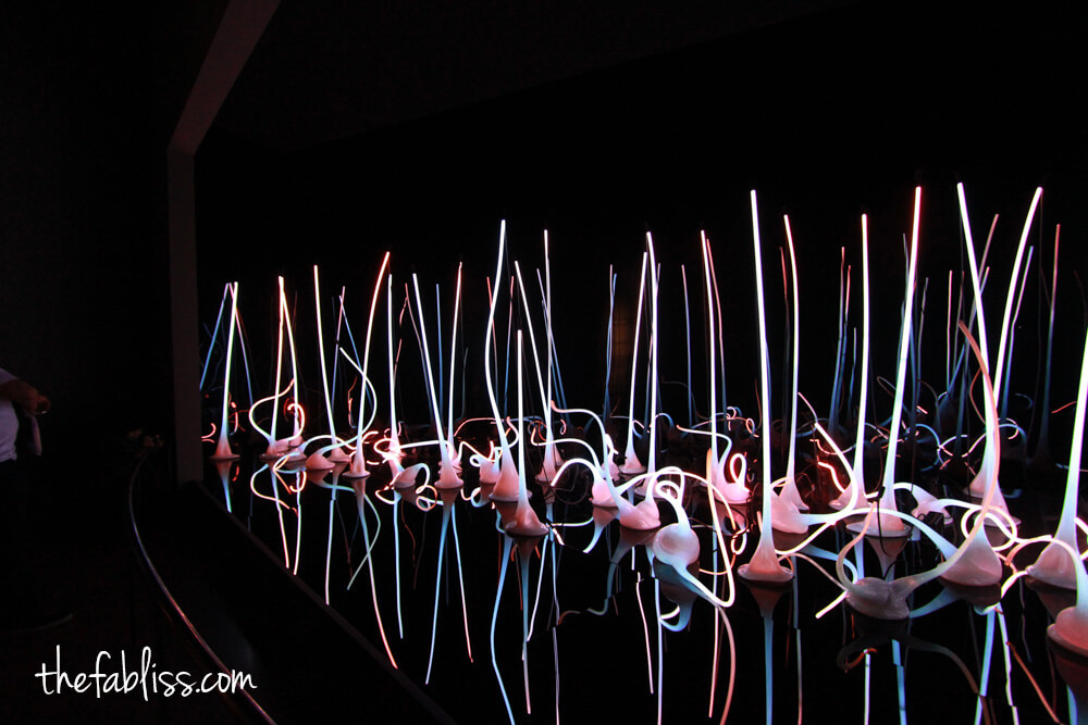 Chihuly Exhibit | Seattle