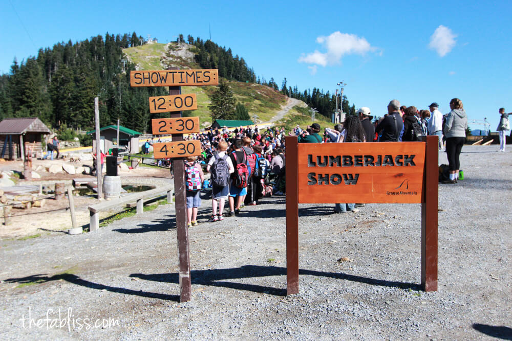 Grouse Mountain | Vancouver, Canada