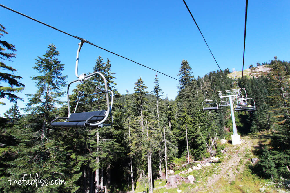 Grouse Mountain | Vancouver, Canada