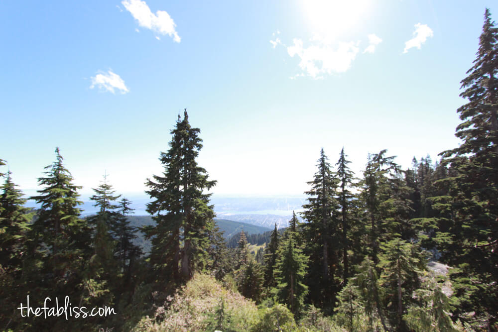 Grouse Mountain | Vancouver, Canada