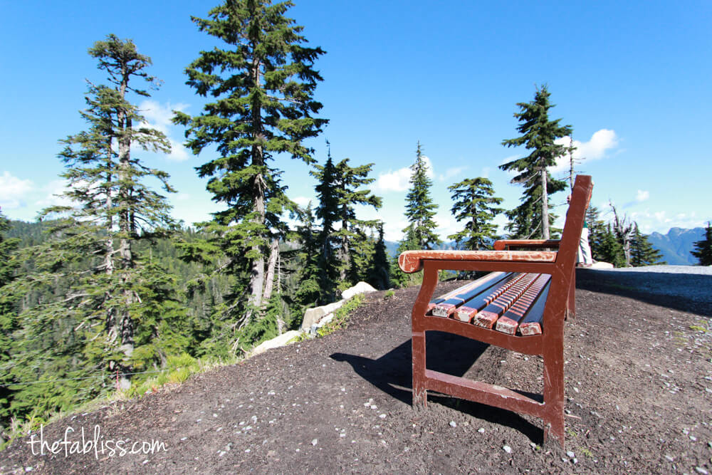 Grouse Mountain | Vancouver, Canada