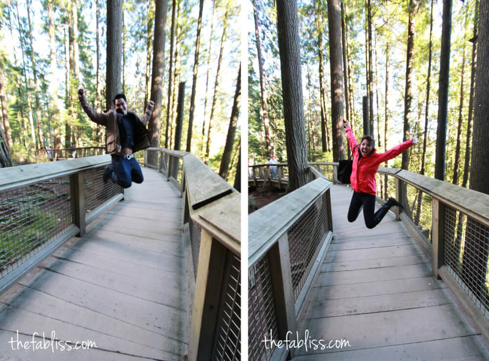 Capilano Suspension Bridge | Vancouver