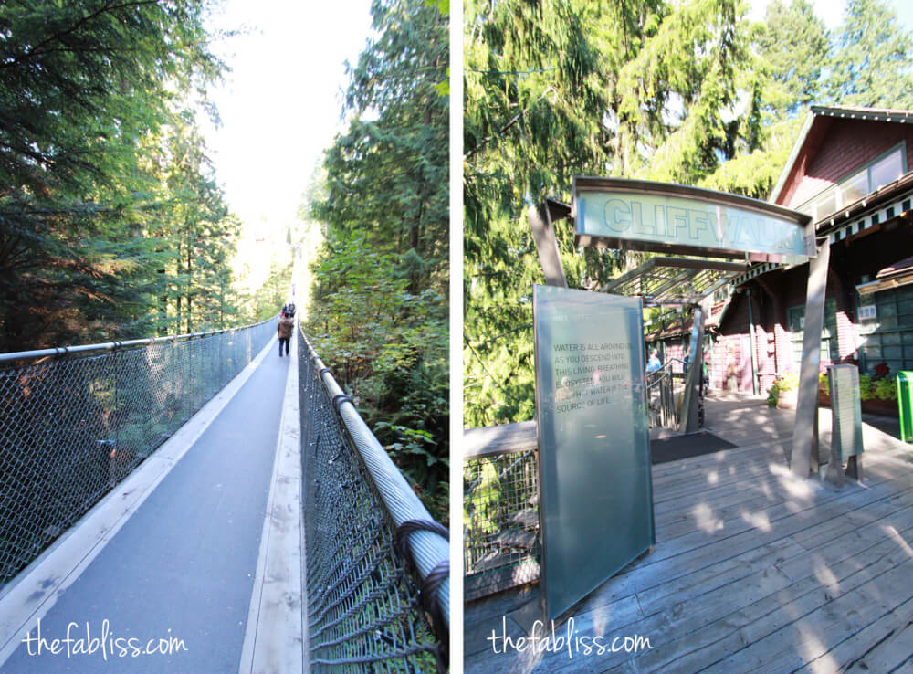 Capilano Suspension Bridge | Vancouver