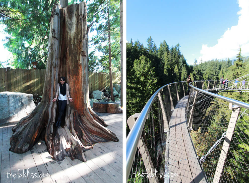 Capilano Suspension Bridge | Vancouver