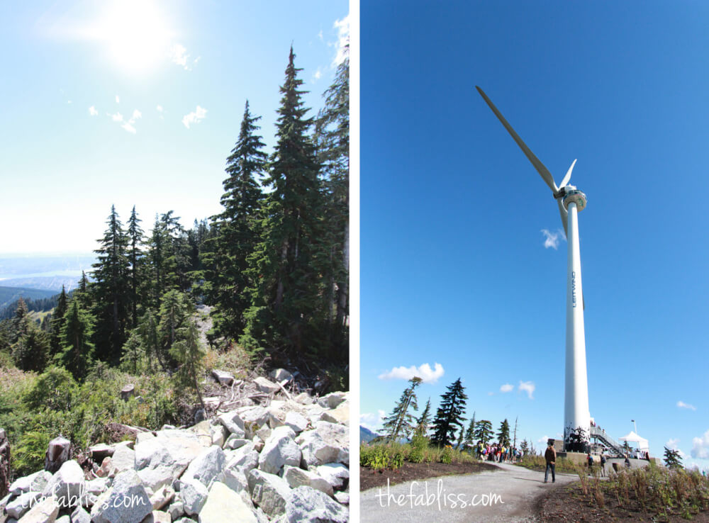 Grouse Mountain | Vancouver, Canada