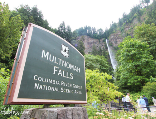 Multnomah Falls | Portland, OR