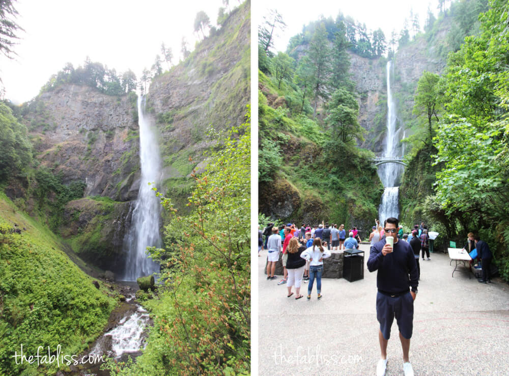 Multnomah Falls | Portland